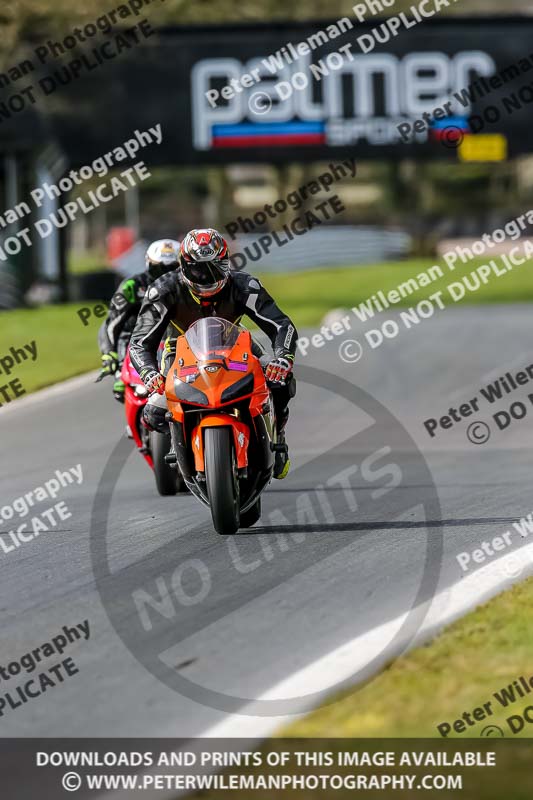Oulton Park 21st March 2020;PJ Motorsport Photography 2020;anglesey;brands hatch;cadwell park;croft;donington park;enduro digital images;event digital images;eventdigitalimages;mallory;no limits;oulton park;peter wileman photography;racing digital images;silverstone;snetterton;trackday digital images;trackday photos;vmcc banbury run;welsh 2 day enduro